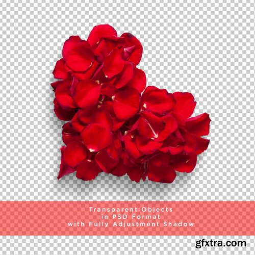 Heart shaped rose petals on transparent layer Premium Psd