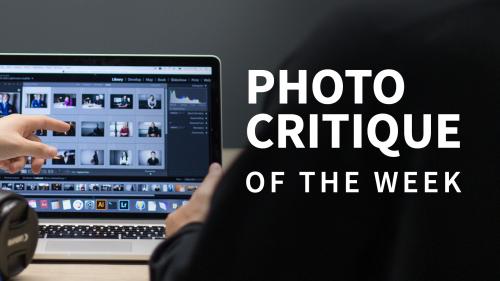 Lynda - Photo Critique of the Week - 545697