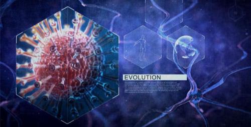 Videohive - Neuronal Cells