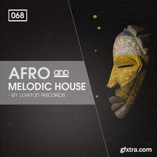 Bingoshakerz Afro & Melodic House by Lowton Records WAV REX2