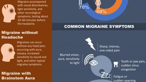 Lynda - PowerPoint: Creating an Infographic - 711800