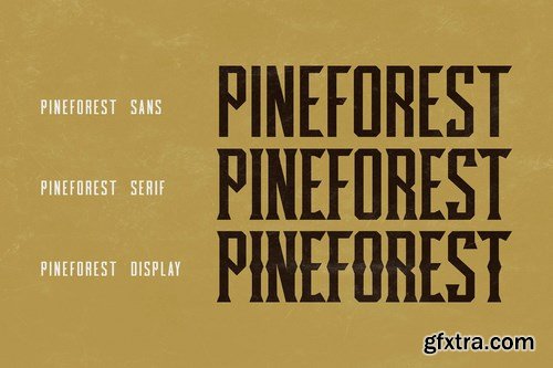 CM - Pineforest - Classic Condensed Font 4802341