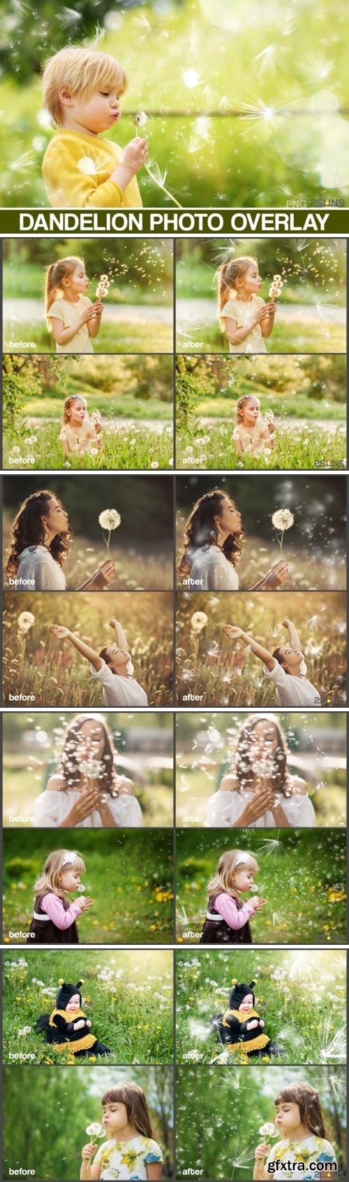 50 Dandelion Flowers Photo Overlays 3858075