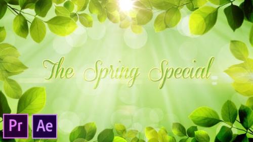 Videohive - The Spring Special - Promo Pack - Premiere Pro