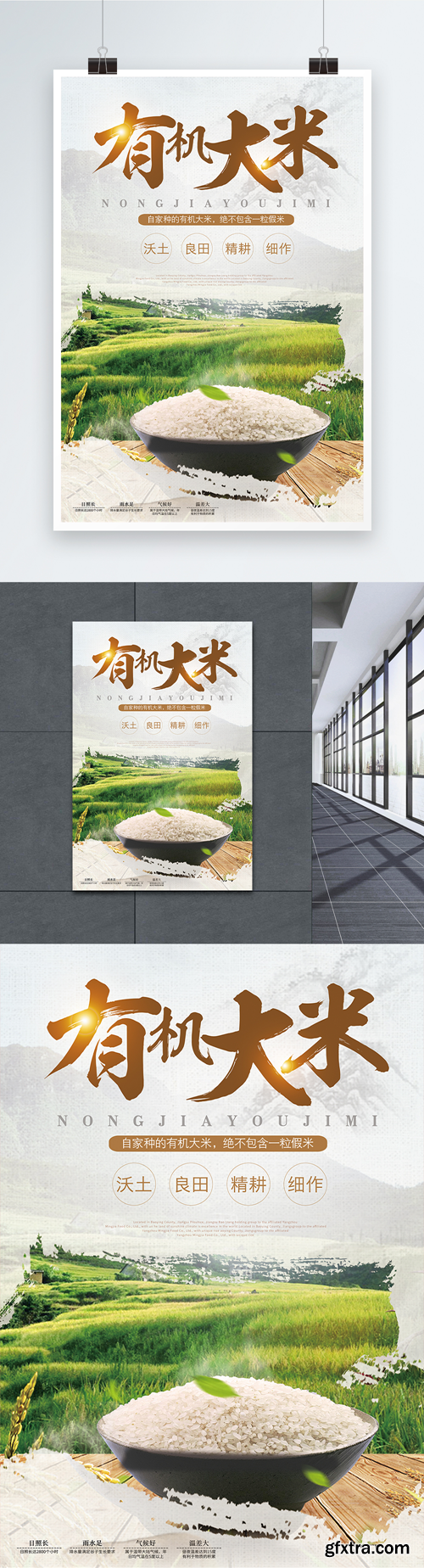 poster design of organic rice