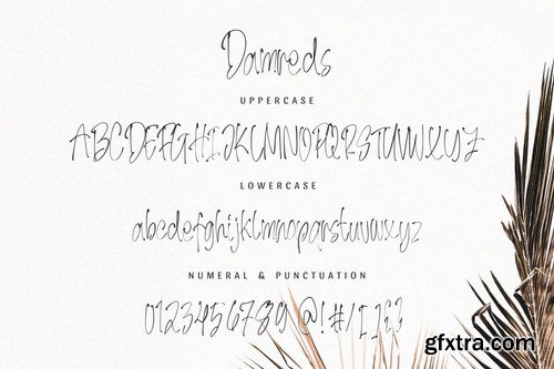 Damreds - The Beauty Handwritten Font