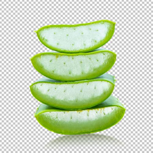 Aloe Vera Sliced On Isolated Transparency .herb Premium PSD