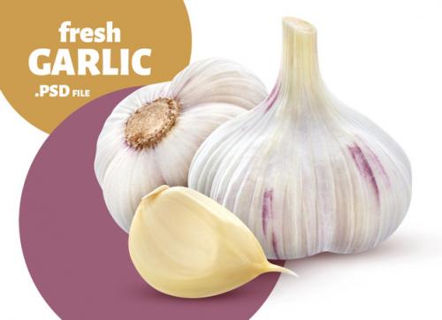 Fresh Garlic Vegetable Isolated, Banner Premium PSD