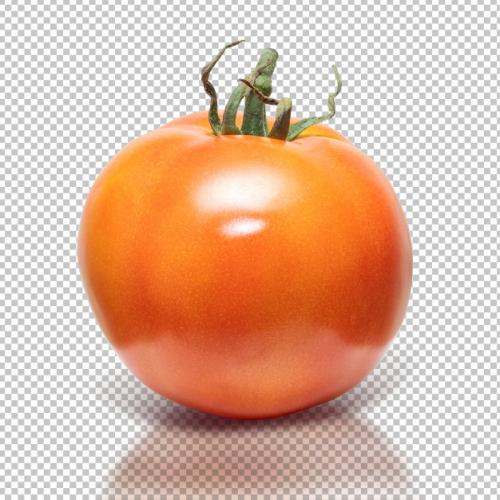 Tomato On Isolated Background Premium PSD