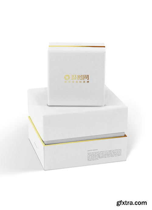 white gift box packaging display