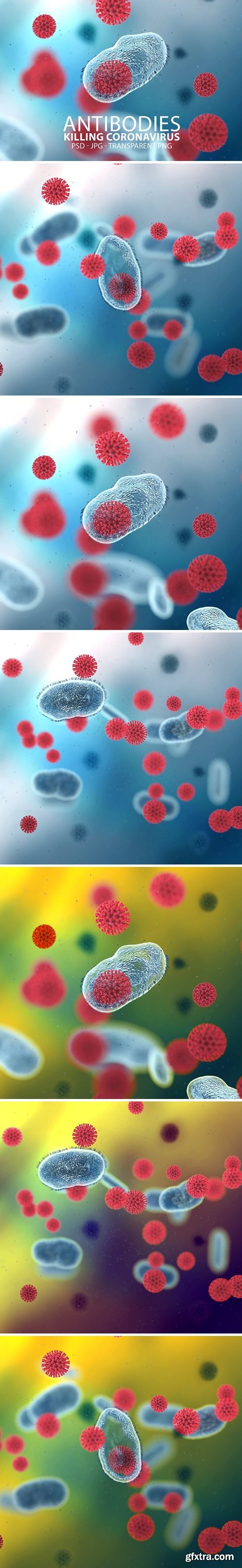 Antibodies Killing Corona Virus