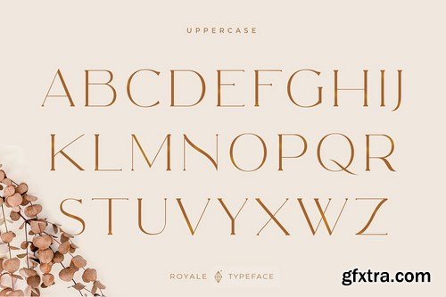 Royale Luxurious Typeface