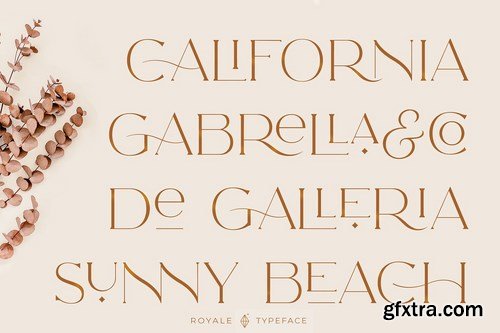 Royale Luxurious Typeface