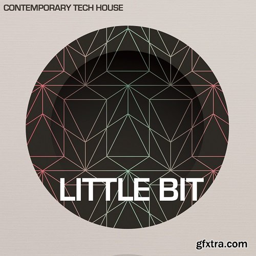 Little Bit Contemporary Tech House WAV-DECiBEL