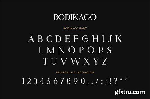 Bodikago Luxury Serif Font