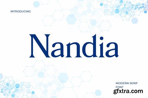 Nandi Modern Serif Font