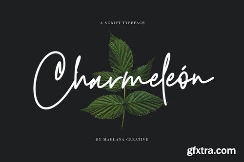 Charmeleon Script Typeface