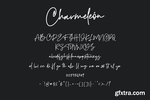 Charmeleon Script Typeface