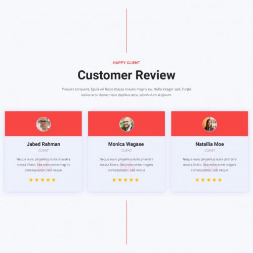 Customer Review Section Premium PSD