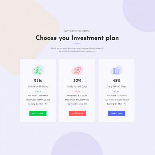 Investment Pricing Plan Premium PSD