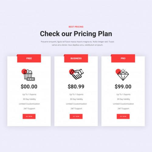 Red Pricing Plan Premium PSD