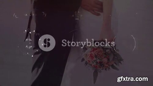 Videoblocks - Wedding Titles Big Pack | After Effects