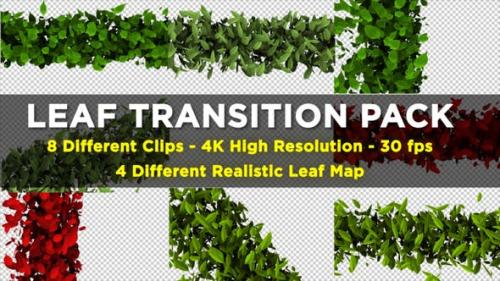 Videohive - Leaf Transition Pack 4K