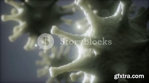 Videoblocks - Bacteria virus or germs microorganism cells under microscope with depth | Animated Backgrounds