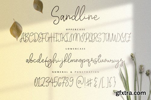 Sandline - The Beauty Script Font