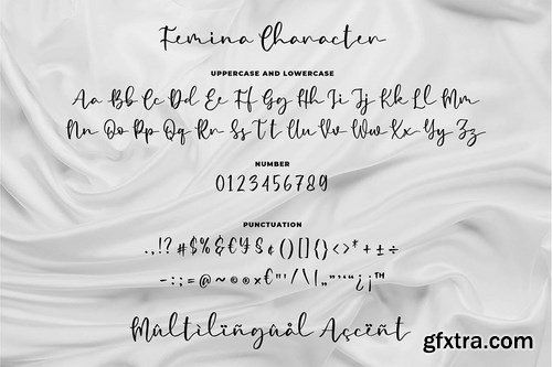 Femina - a Modern Calligraphy Font