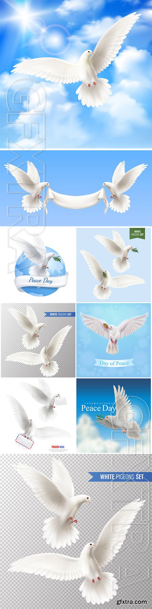 White pigeons vector set