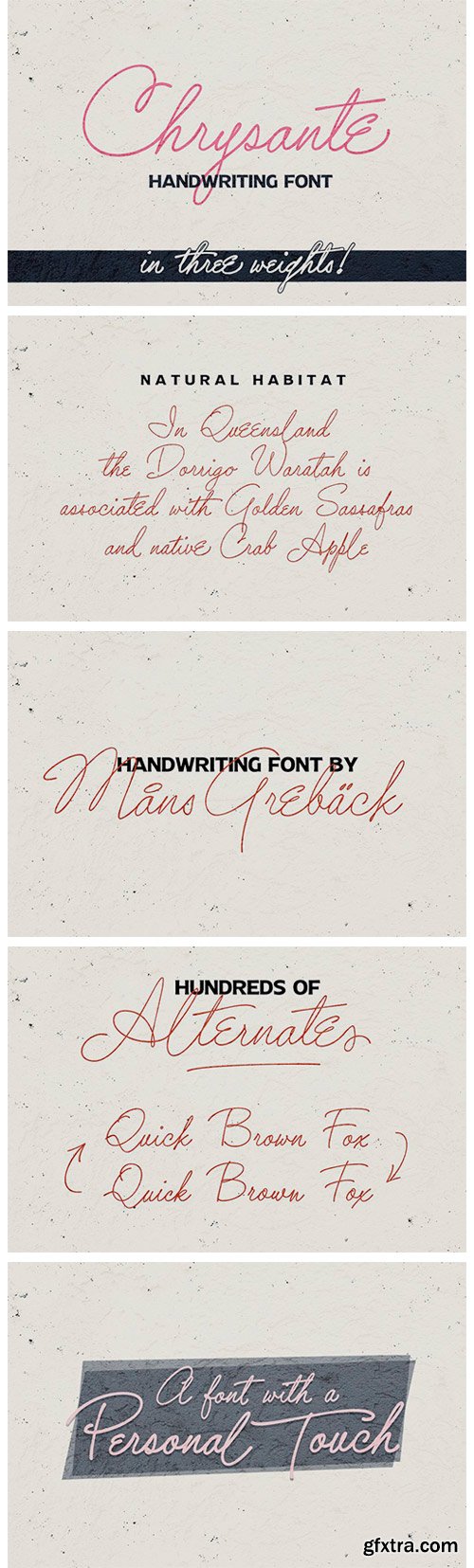 Chrysante Font Family