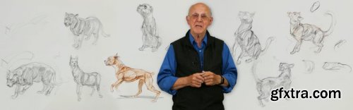  Animal Drawing Part 2: Dogs & Cats with Glenn Vilppu 