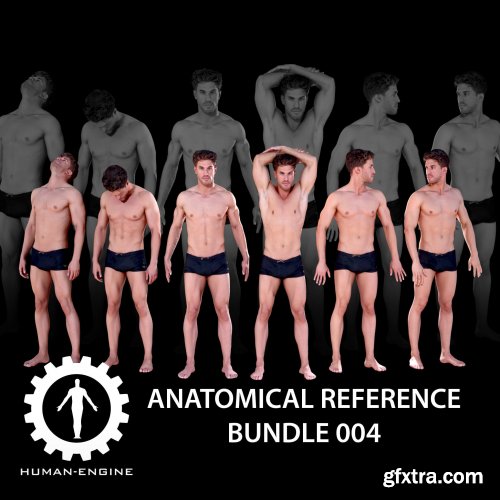 Cgtrader - Anatomical Reference Bundle 004 VR / AR / low-poly 3d model