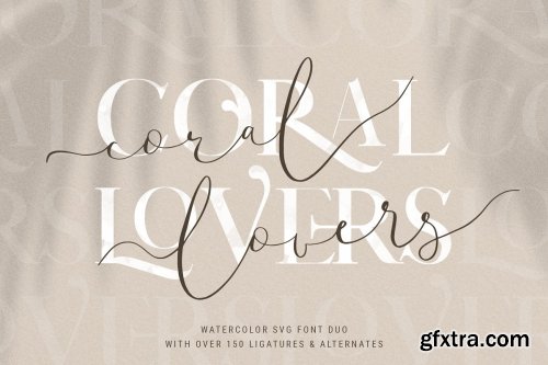 CreativeMarket - Font Bundle - Limited Time 4768827