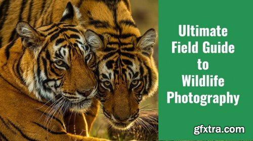  Masterclass: Ultimate Field Guide to Wildlife Photography