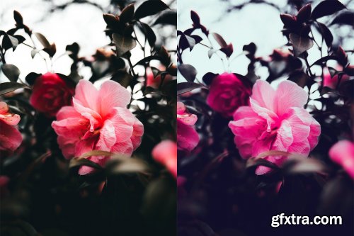 CreativeMarket - Spring Photoshop Actions 4710524