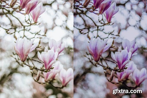 CreativeMarket - Spring Photoshop Actions 4710524