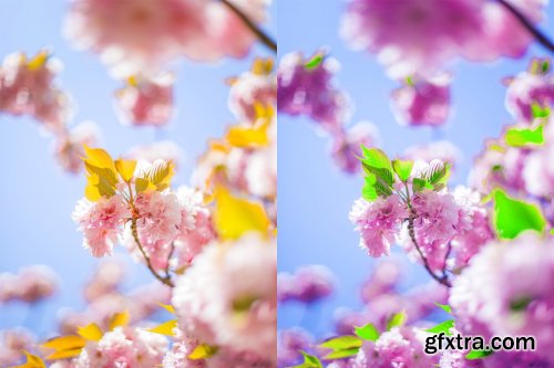 CreativeMarket - Spring Photoshop Actions 4710524