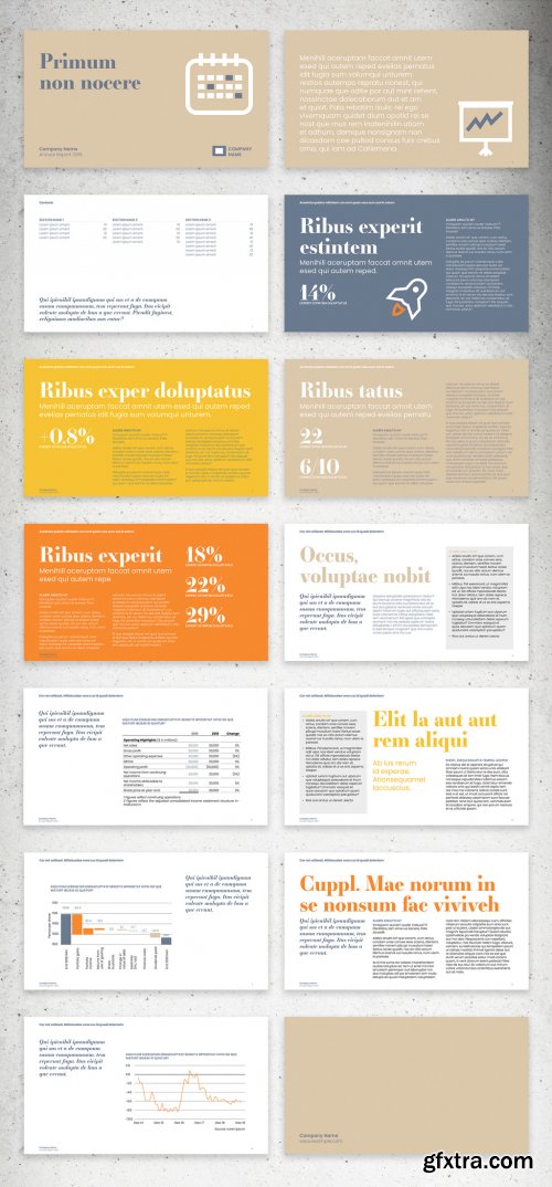 Minimalist Digital Annual Report Presentation Layout 339257344