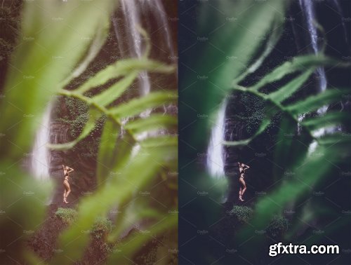 CreativeMarket - Rain Forest Lightroom Presets 4594909