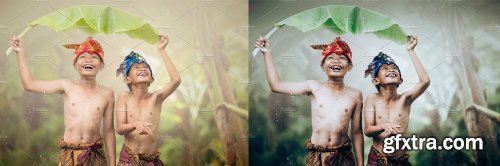 CreativeMarket - Rain Forest Lightroom Presets 4594909