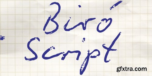 Biro Script Plus Complete Family