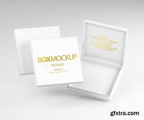 CreativeMarket - Box Package Mockup