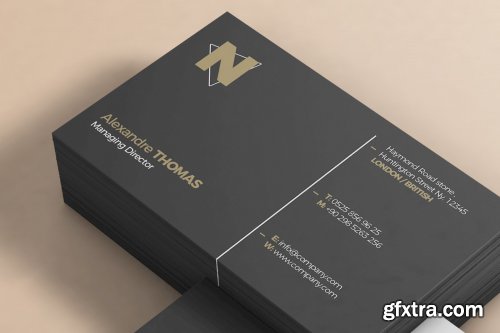 Business Card Mock-Up 7