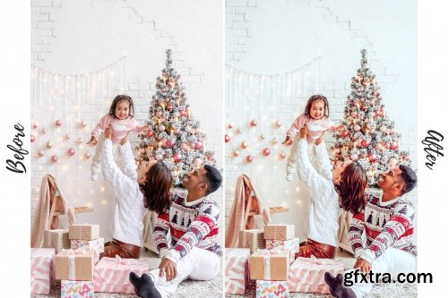 CreativeMarket - Desktop Lightroom Preset FAMILY 4842205