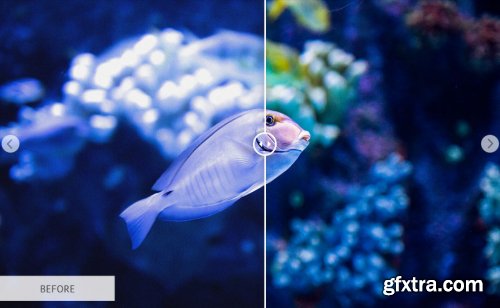 CreativeMarket - Underwater Photography Presets 4725471