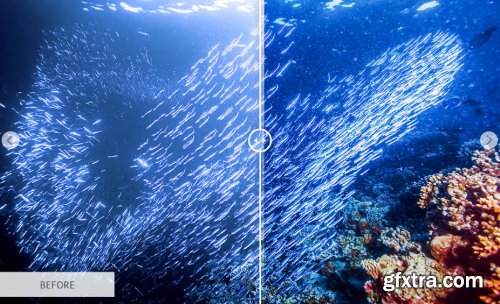 CreativeMarket - Underwater Photography Presets 4725471