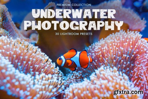 CreativeMarket - Underwater Photography Presets 4725471