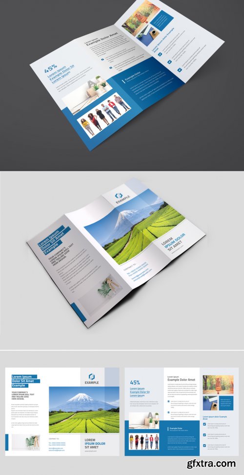 Trifold Business Brochure Layout with Blue Accent 344222356